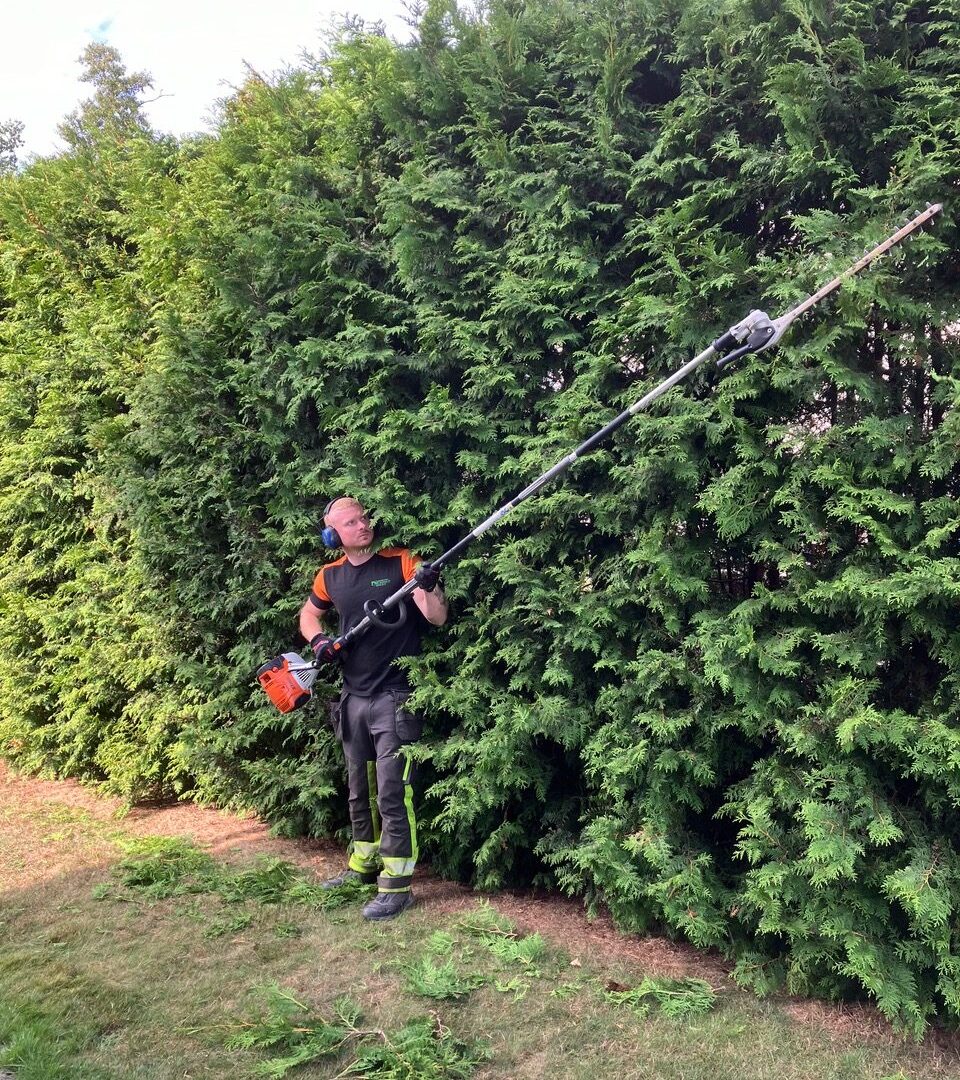 IMG_1436 trädgårdsservice och trädgårdsunderhåll i Stockholm